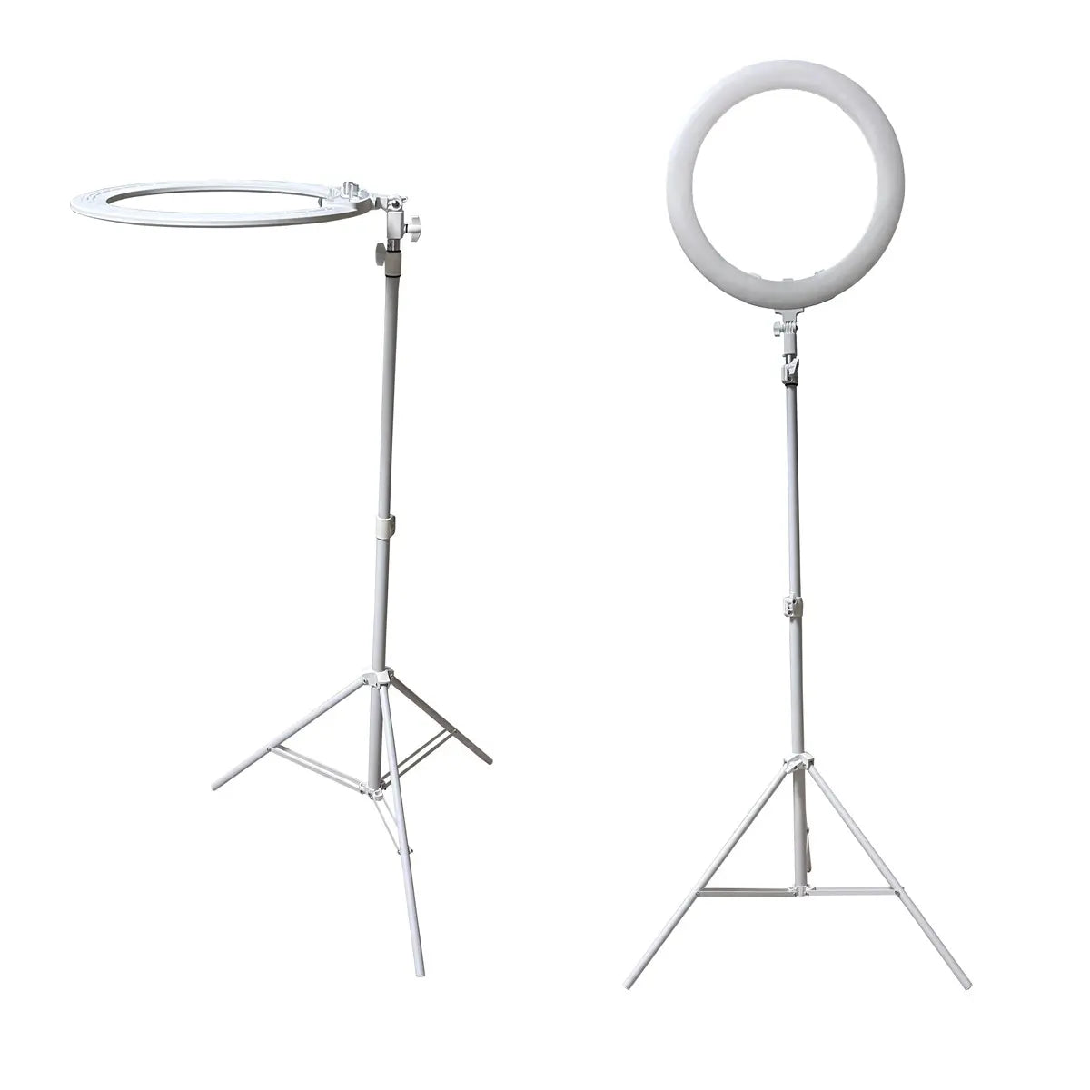 Elegante Lampada Ring LED 20"